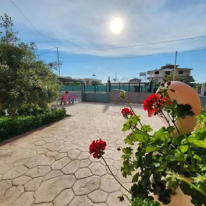 Orange Vlore
